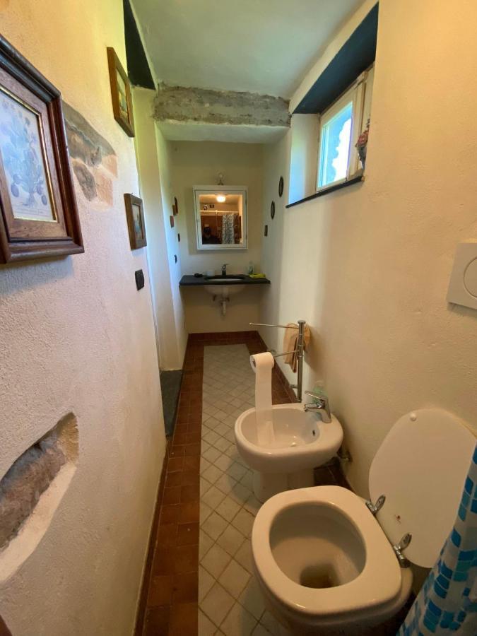 Villa Molinazzo Cicagna エクステリア 写真