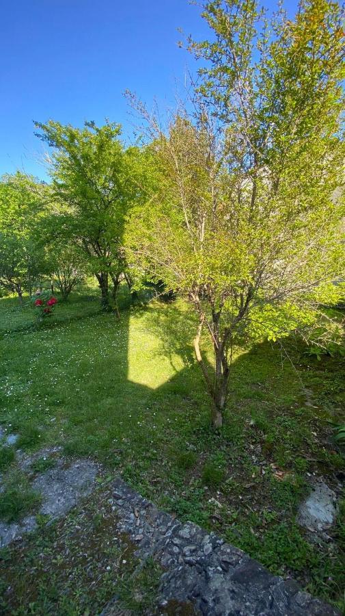 Villa Molinazzo Cicagna エクステリア 写真
