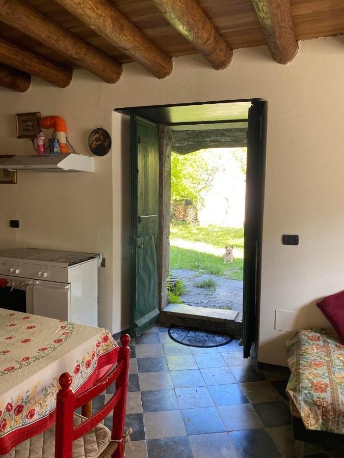 Villa Molinazzo Cicagna エクステリア 写真